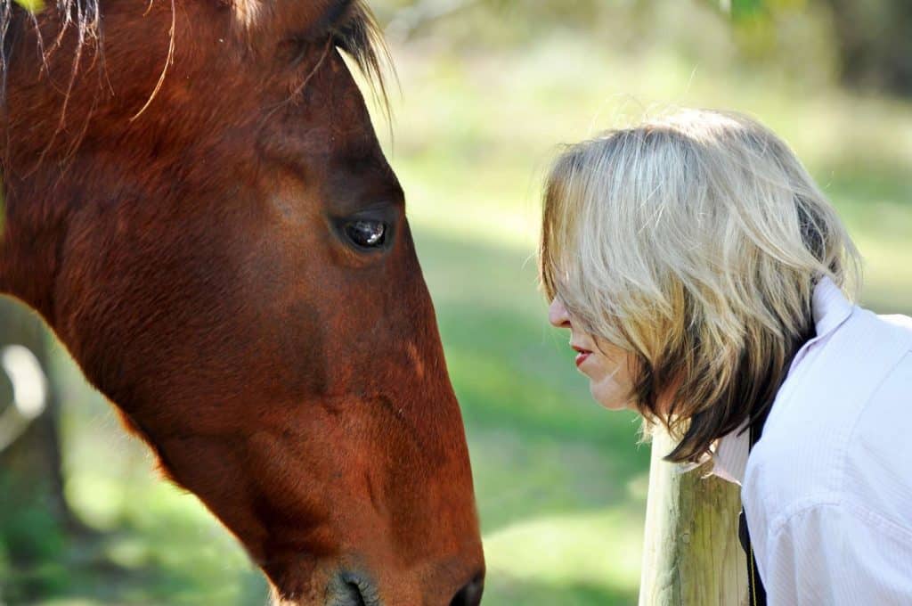 AFL-AB-woman-connects-horse-close-up-re-sfw