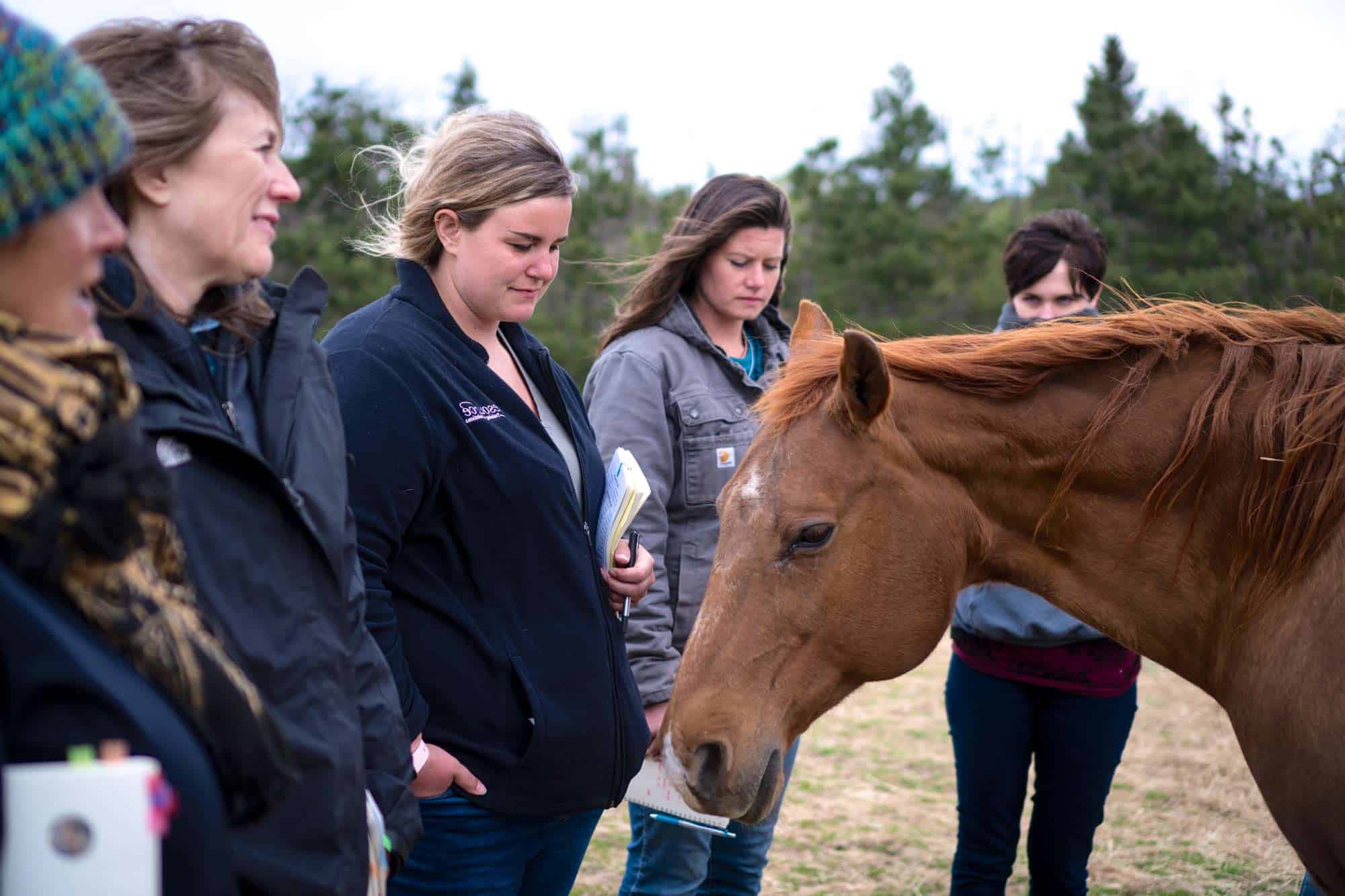 AFL-PIR-women-training-with-horse-learning-sfw