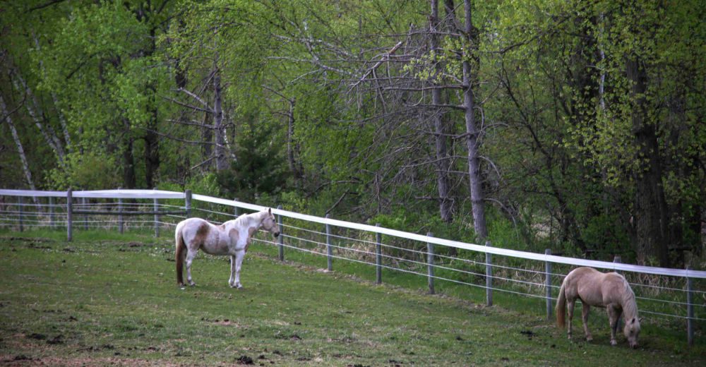 Support Acres for Life