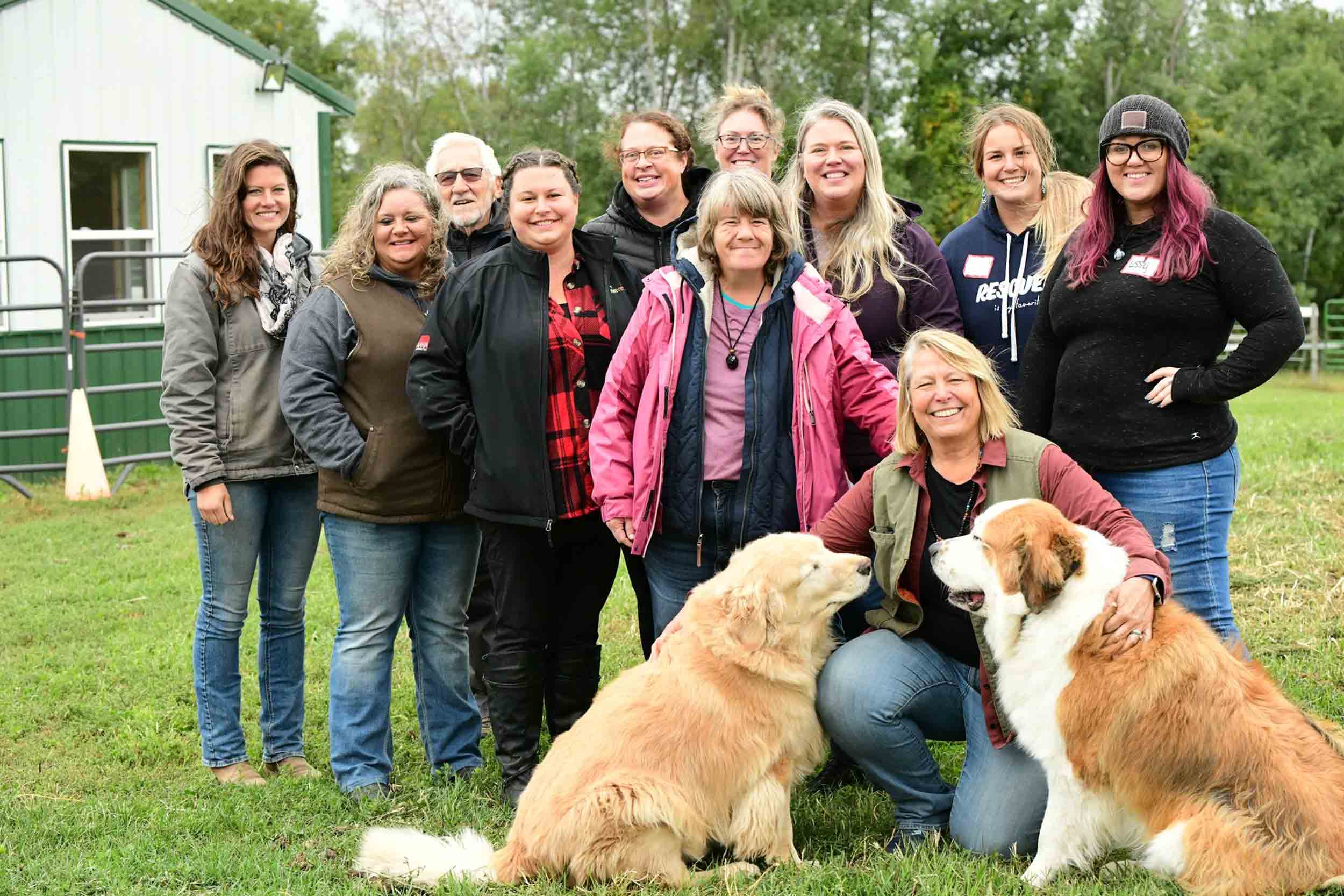 team-group-happy-outdoors-casual-dogs