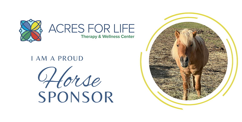 Horse Sponsorship Graphic